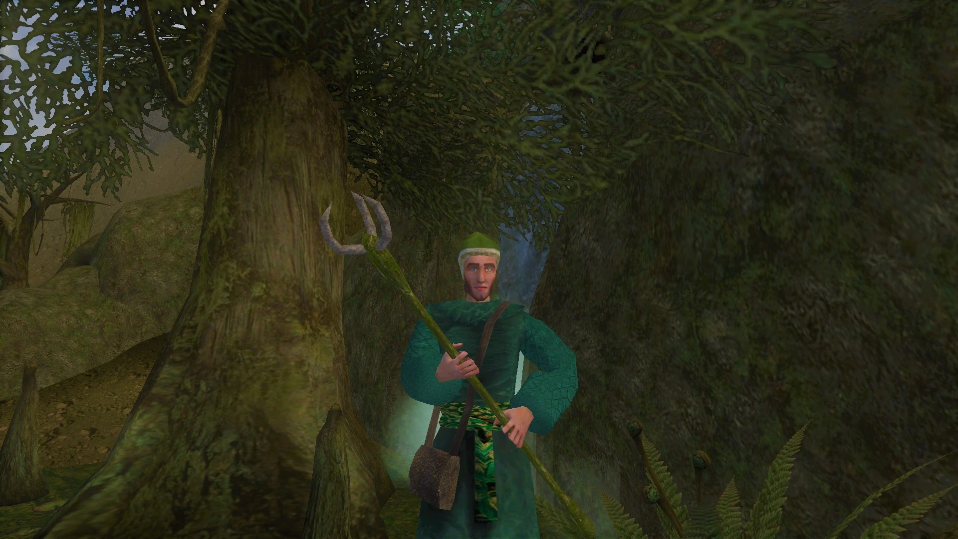 Gandelm the Druid at Morrowind Nexus - mods and community