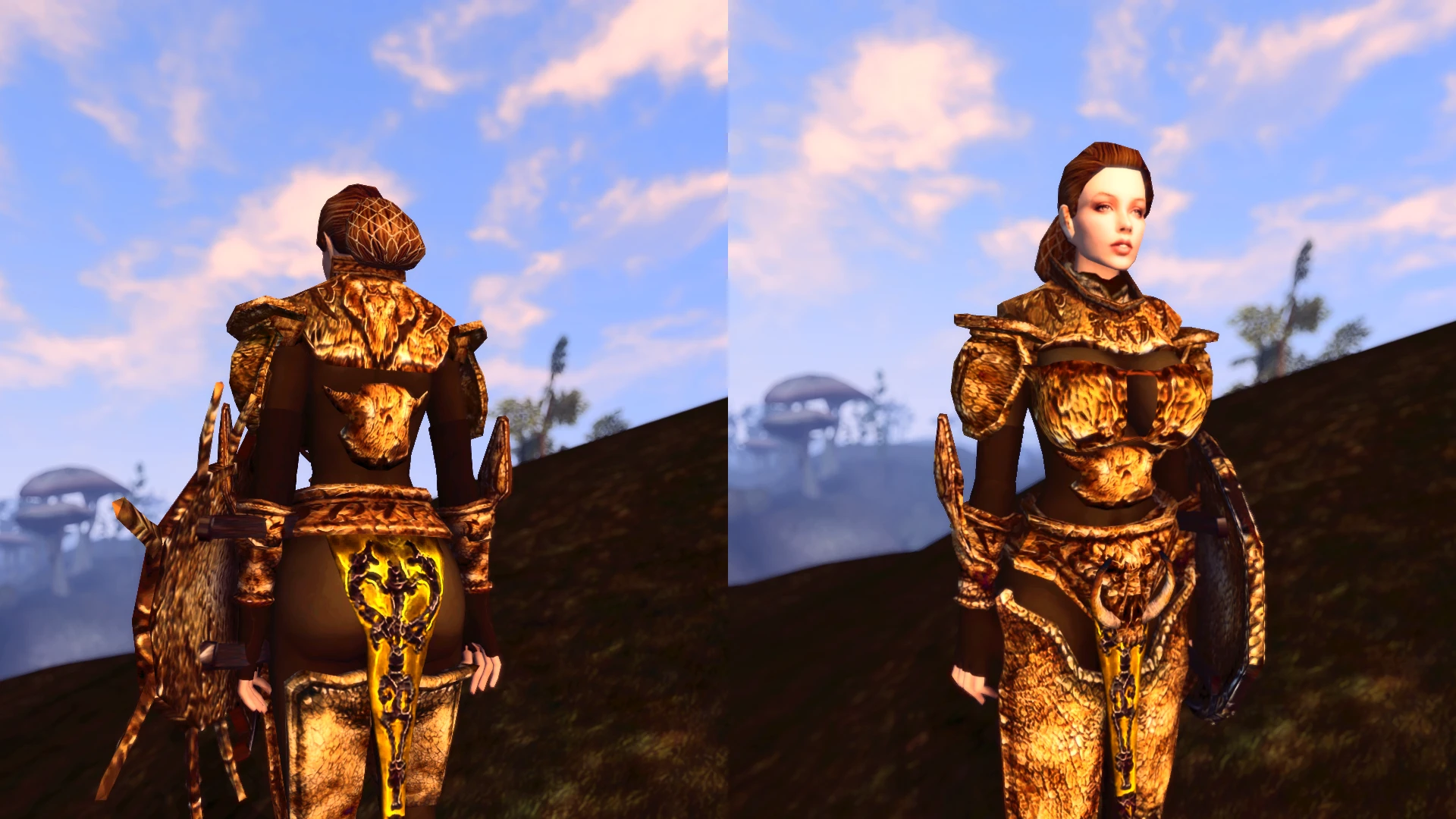 DMRA bonemold armor at Morrowind Nexus - mods and community