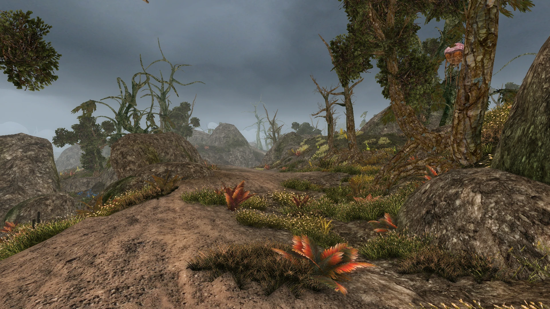 West Gash Region Snapshot at Morrowind Nexus - mods and community