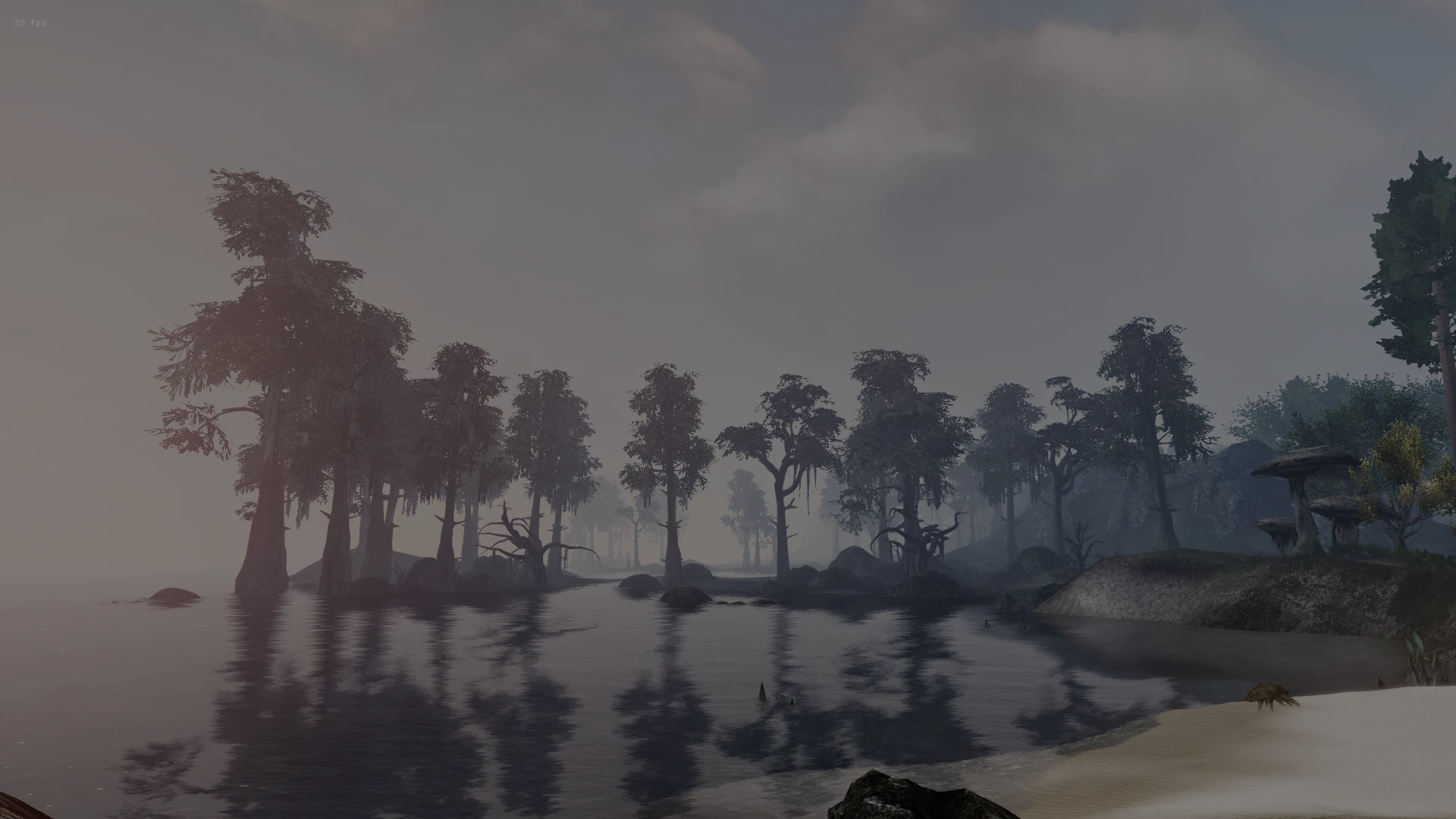 Mid-day Swamp at Morrowind Nexus - mods and community