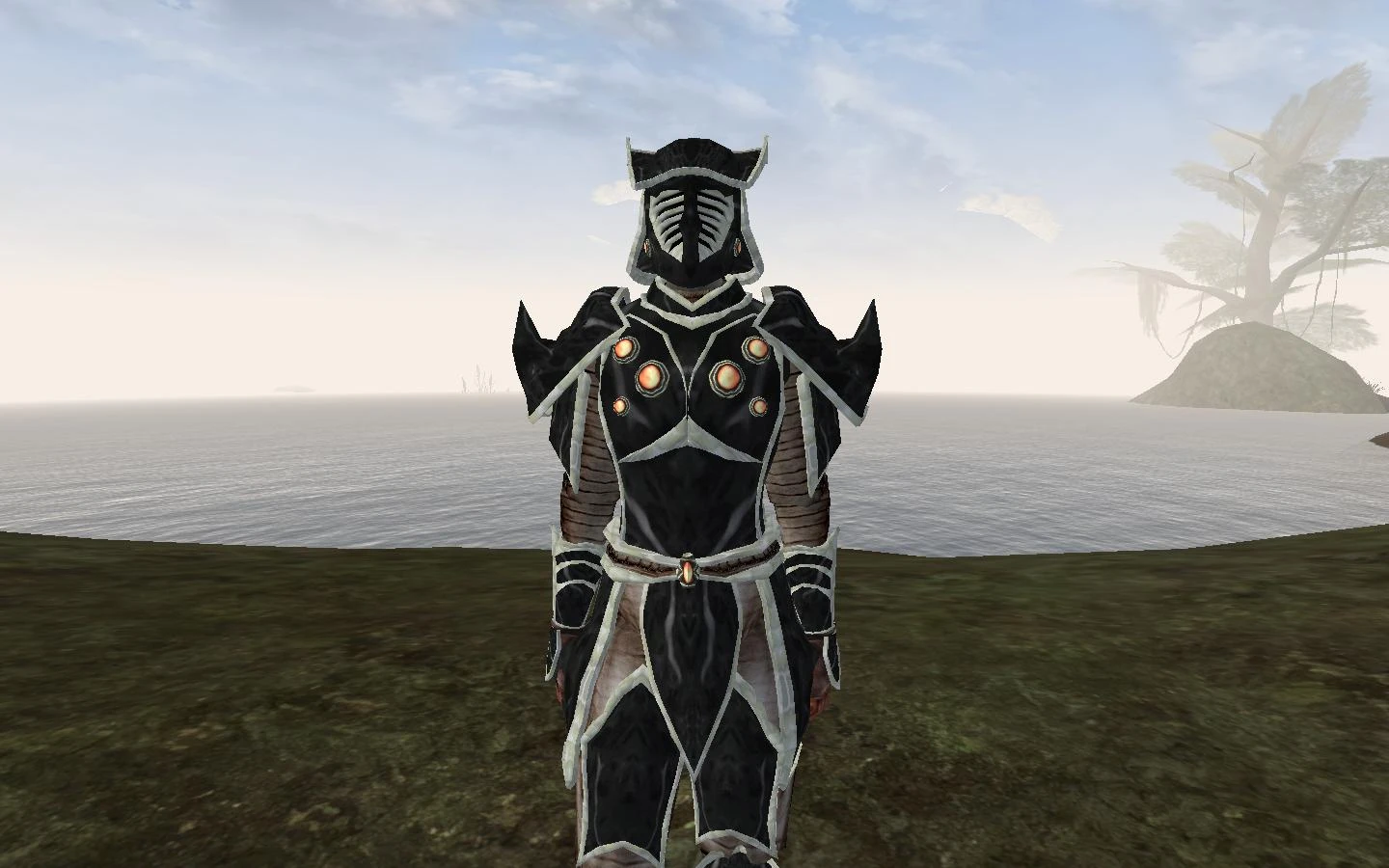 Dunmer Ebony Armor.