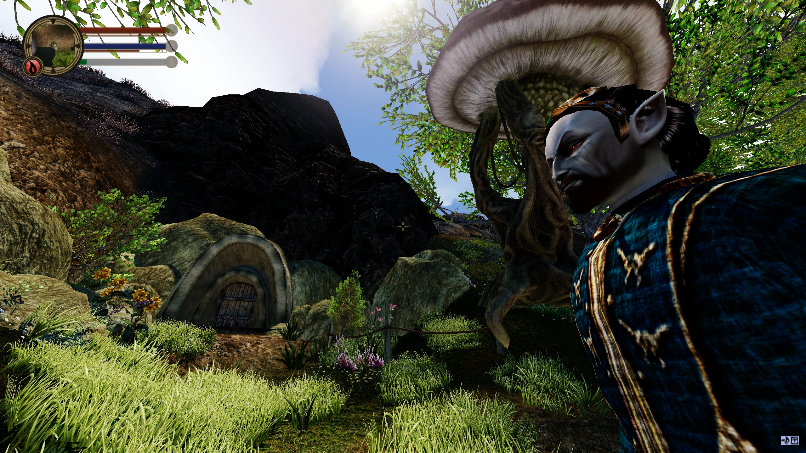 morrowind nexus