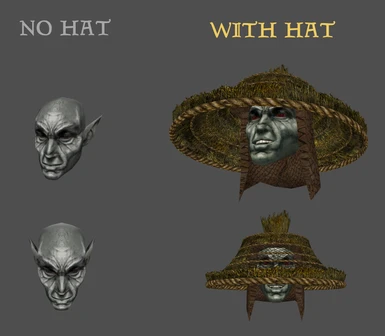 EVERYTHING IS BETTER WITH HATS