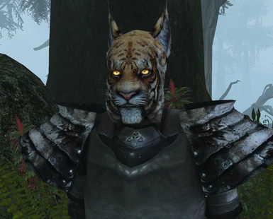 Khajiit Head and hair replacer