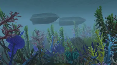 Corals