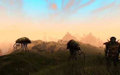 Best of Morrowind  - The Land