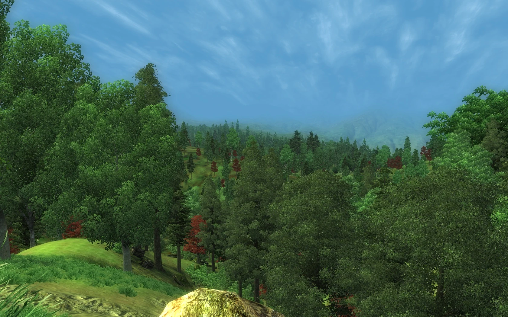  Forest  at Oblivion Nexus  mods and community