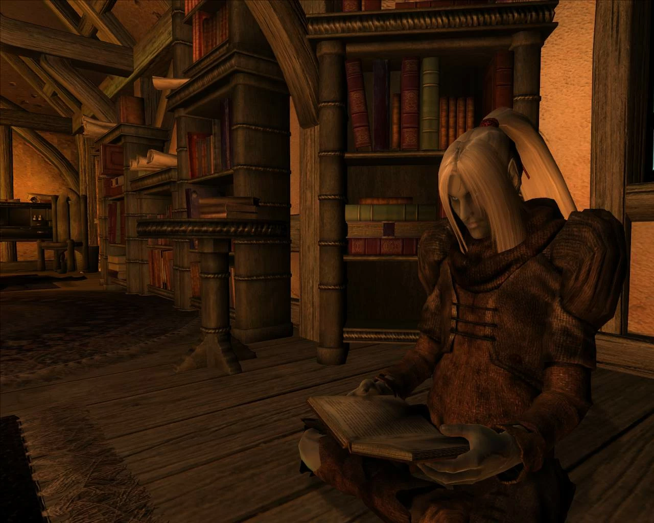 oblivion enemy leveling mod oblivion enemy leveling mod