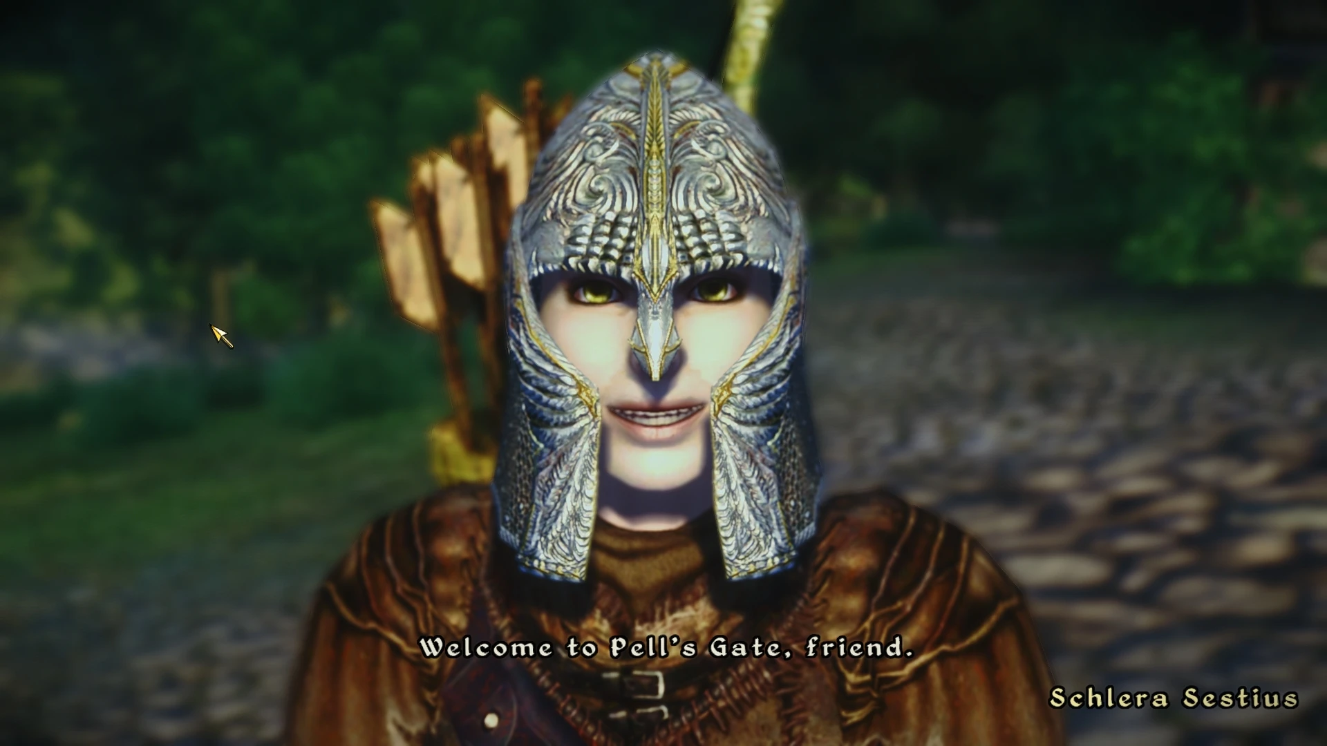 Oblivion npc что это