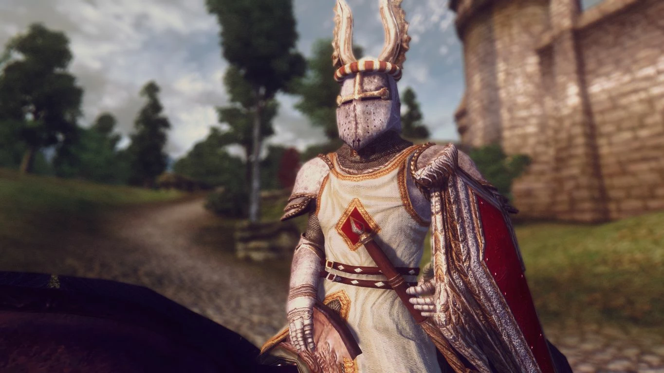 The fairy tale of holy knight. Oblivion Mod Templar Helmet Red Knight. Holy Knight. Holy Knight olana. Holy Knight face.