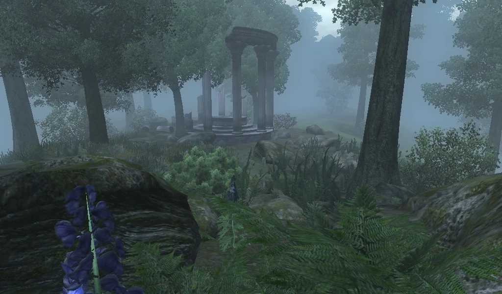 Shrouded pass wayshrine как попасть teso