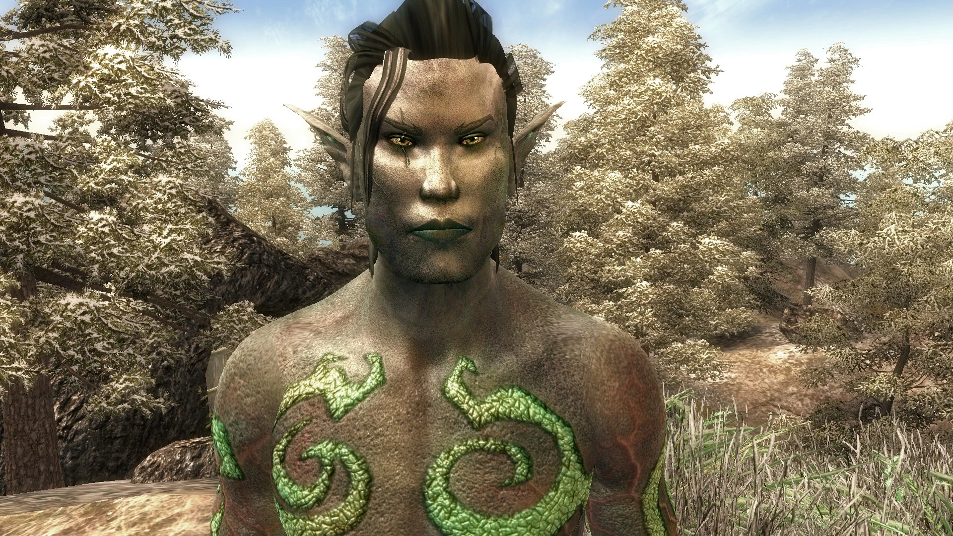 Oblivion textures. Обливион прически мужские. Oblivion фанат. Поклонник обливион. Обливион текстуры лица.