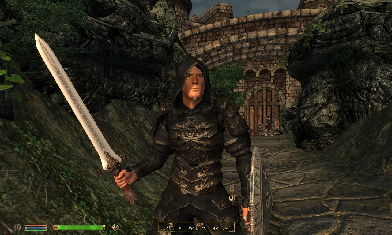 oblivion character overhaul not working vortex oblivion character overhaul not working vortex