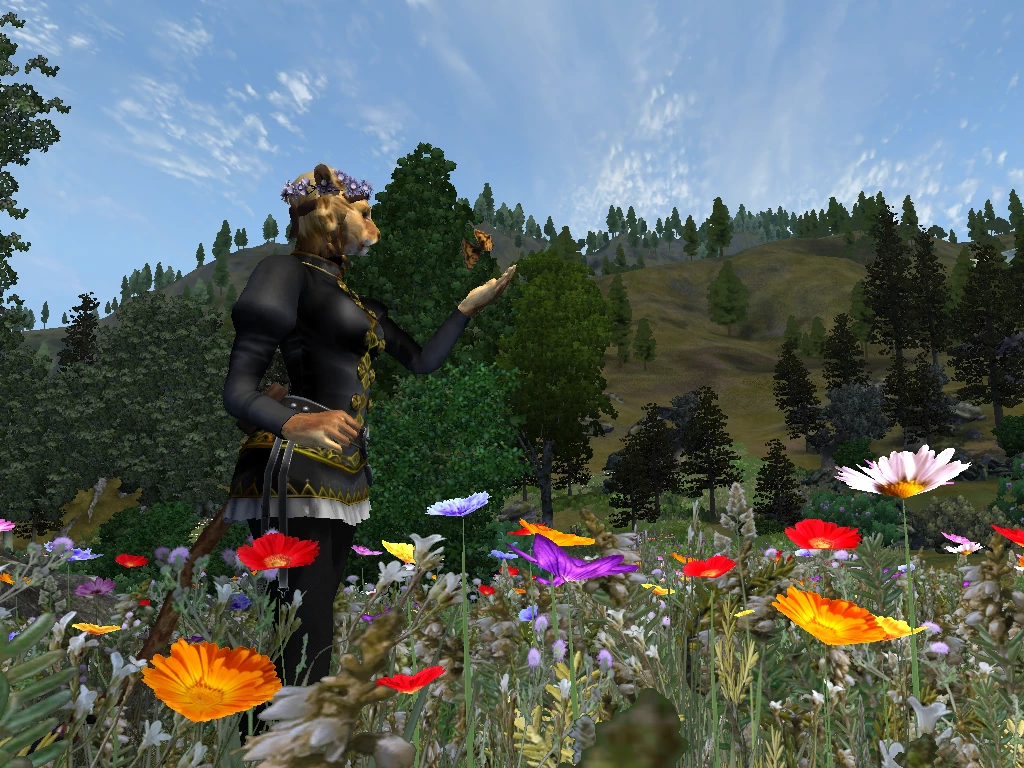 Khajiit and Butterfly Khajiit and Butterfly
