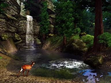 Deer at the waterfalls