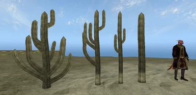 SpeedTree Cactus Resource