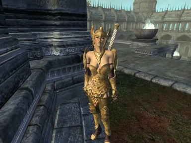Vortex' DMZ Armors  golden saint  armor