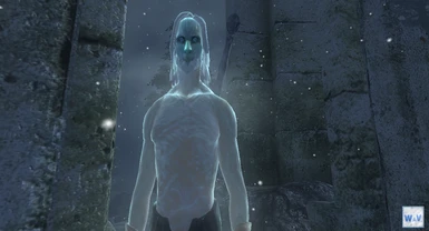 White Walker - Word and Void Mod