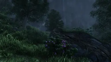 Majestic Oblivion XXXII