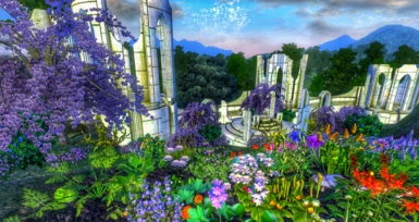 Vibrant garden