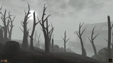 Mist Falls on Dead Trees