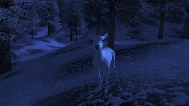the forgottten white deer