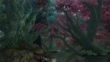 fallenleaf fallenleaf