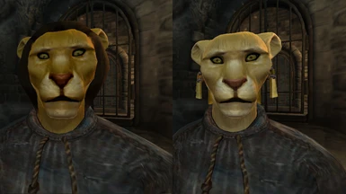 Added dimorphism to the lion-like khajiit mod