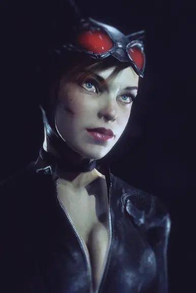 Kitty At Batman Arkham Knight Nexus Mods And Community