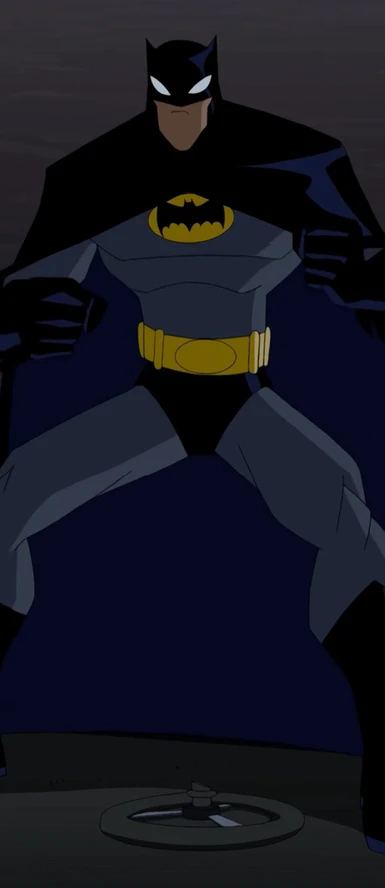 The Batman 2004 TV Series Suit