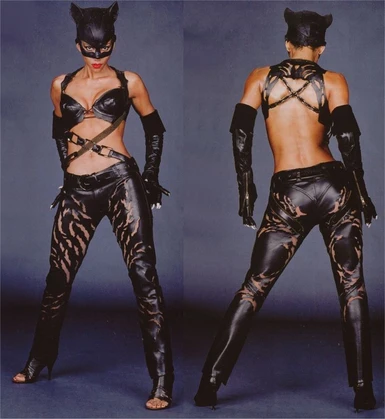 MOD REQUEST- CATWOMAN 2004 MOVIE OUTFIT