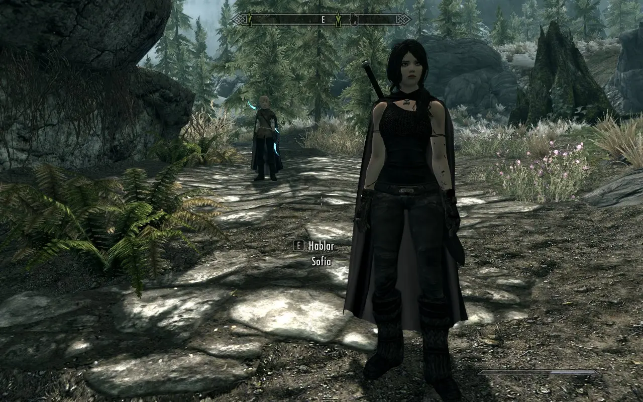 Skyrim sofia