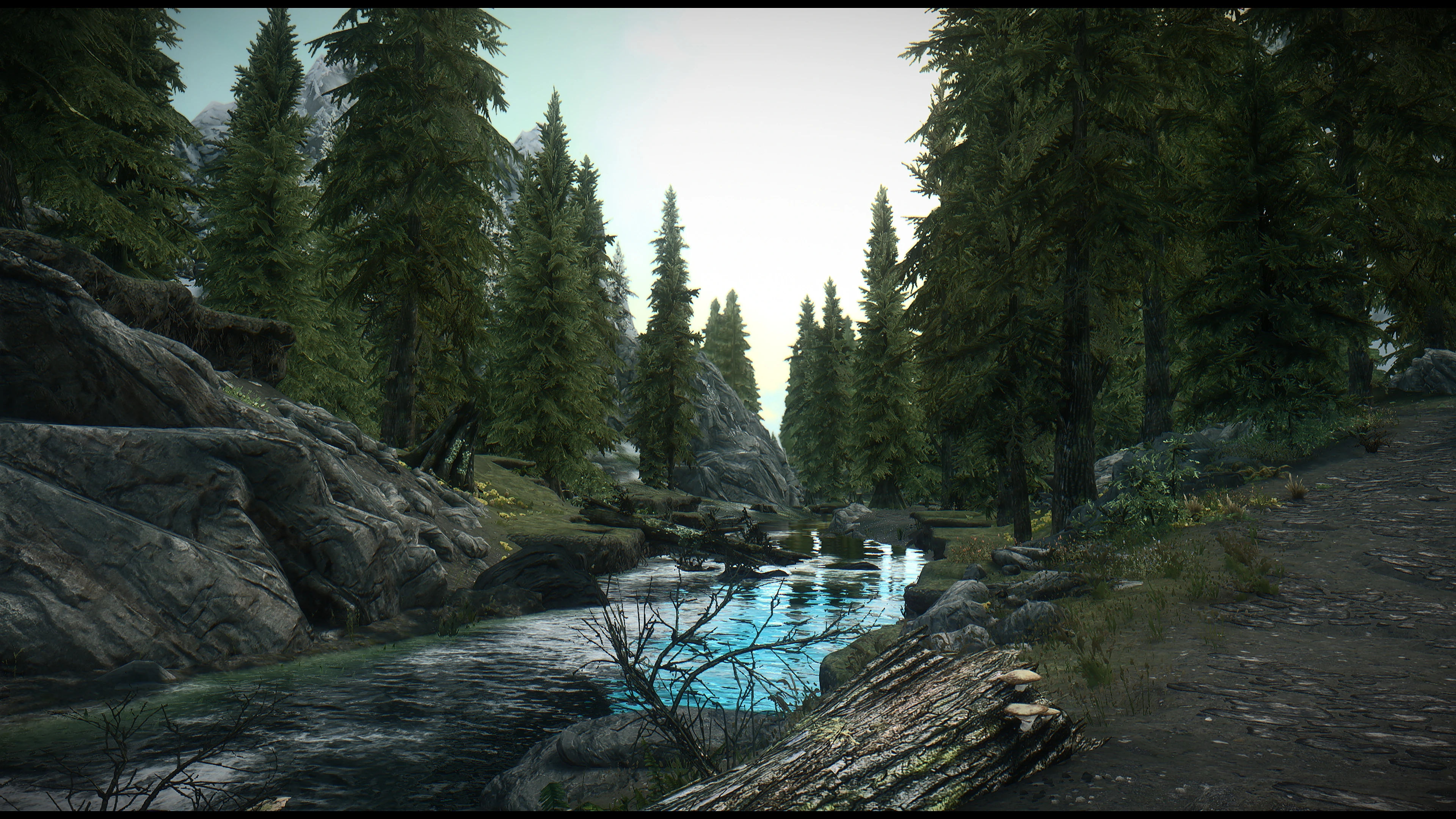 Forests of Skyrim at Skyrim Nexus - Mods and Community