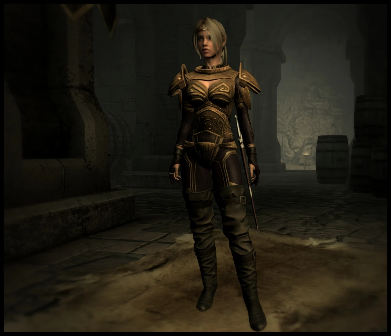 Girls Heavy Armor at Skyrim Nexus - Mods and Community