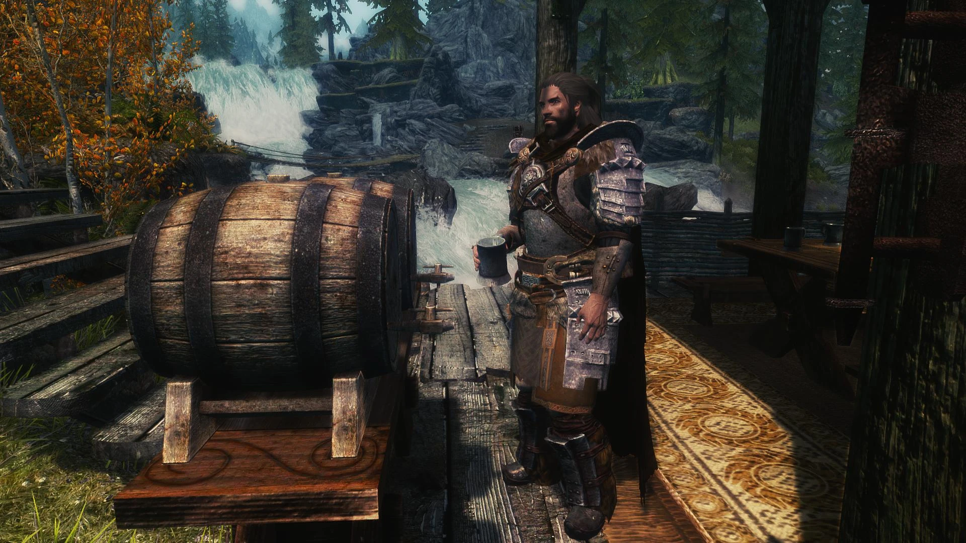 Taking a break at home at Skyrim Nexus mods and community