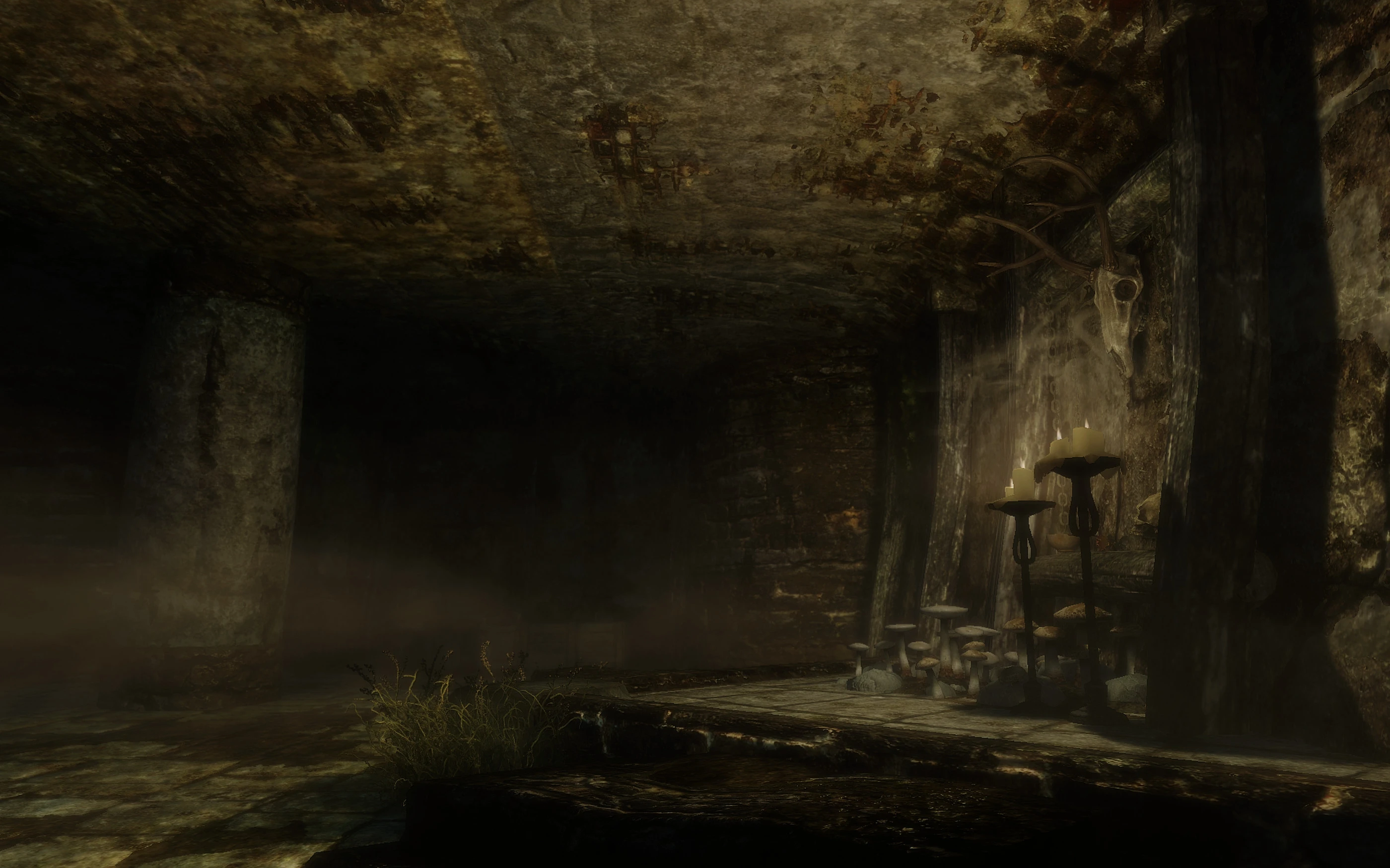 The Midden at Skyrim Nexus - Mods and Community