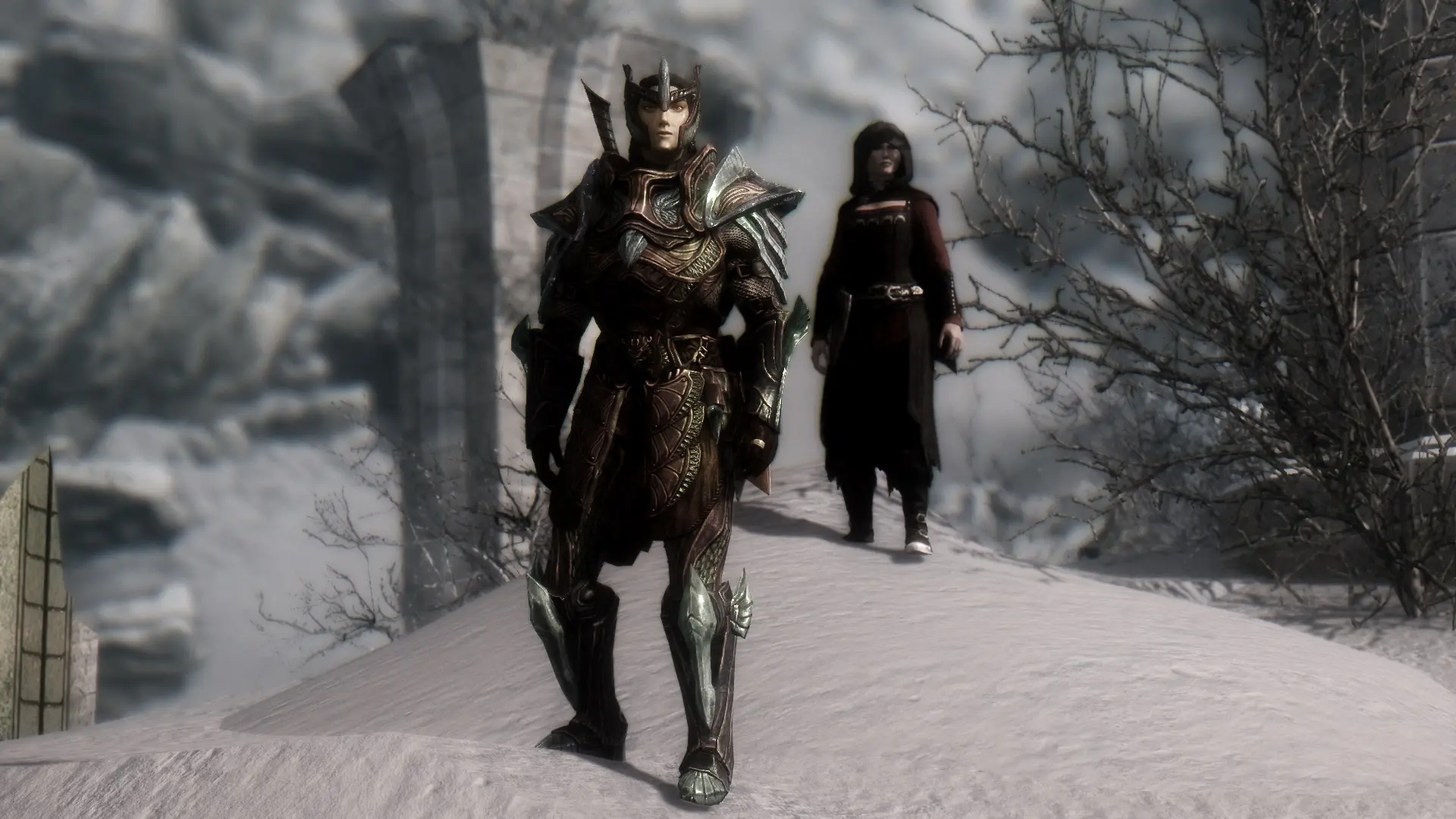 Altmer <b>Dovahkiin</b> and Serana.