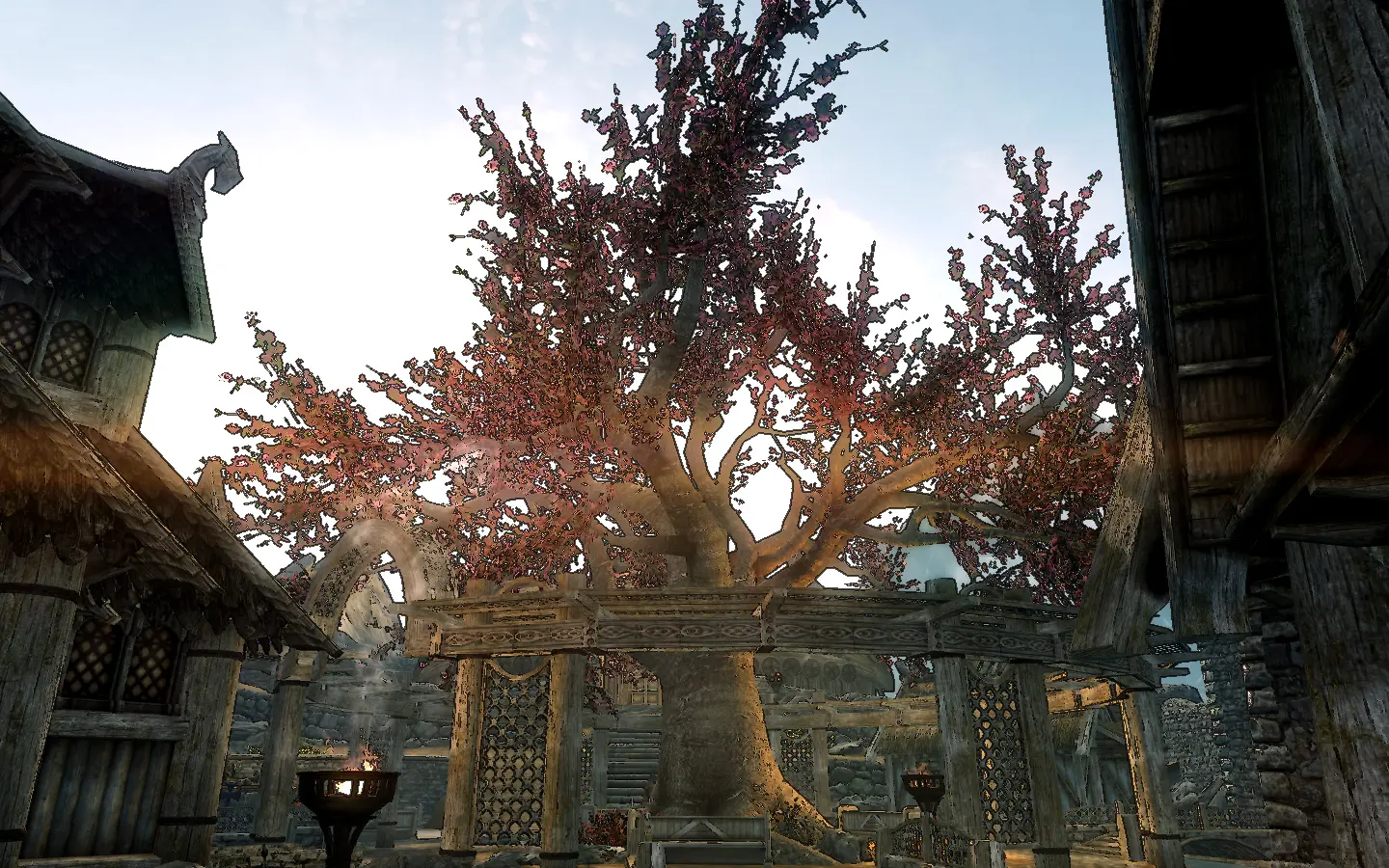 Cell Shader Effect at Skyrim Nexus - Mods and Community