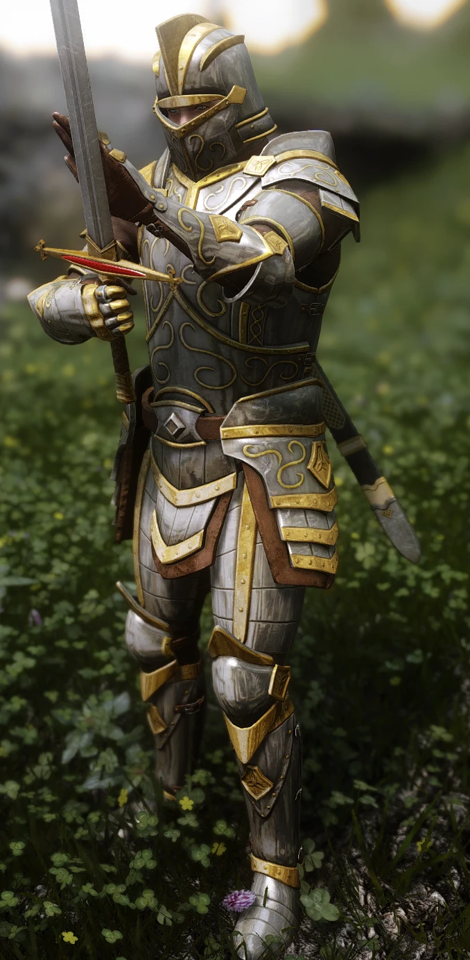 Paladin At Skyrim Nexus Mods And Community   12533811 1532817800 