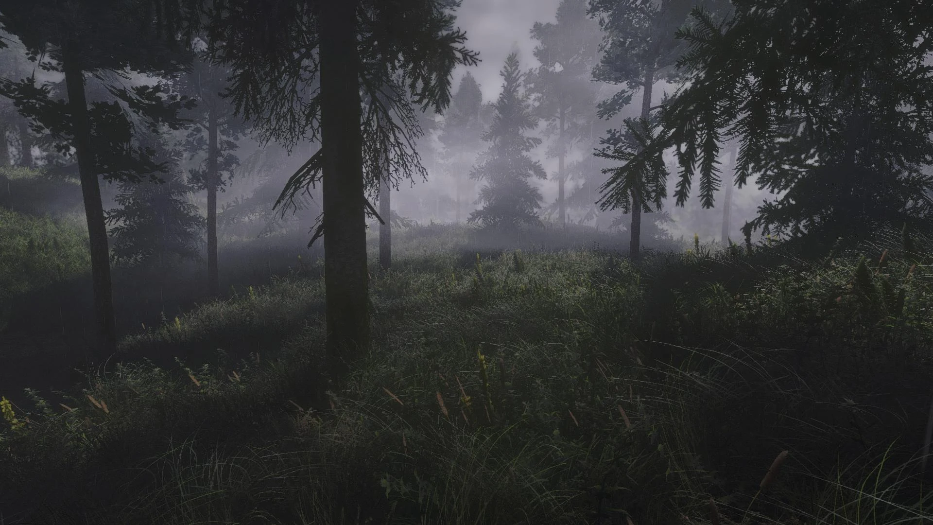 Foggy Forest at Skyrim Nexus - Mods and Community