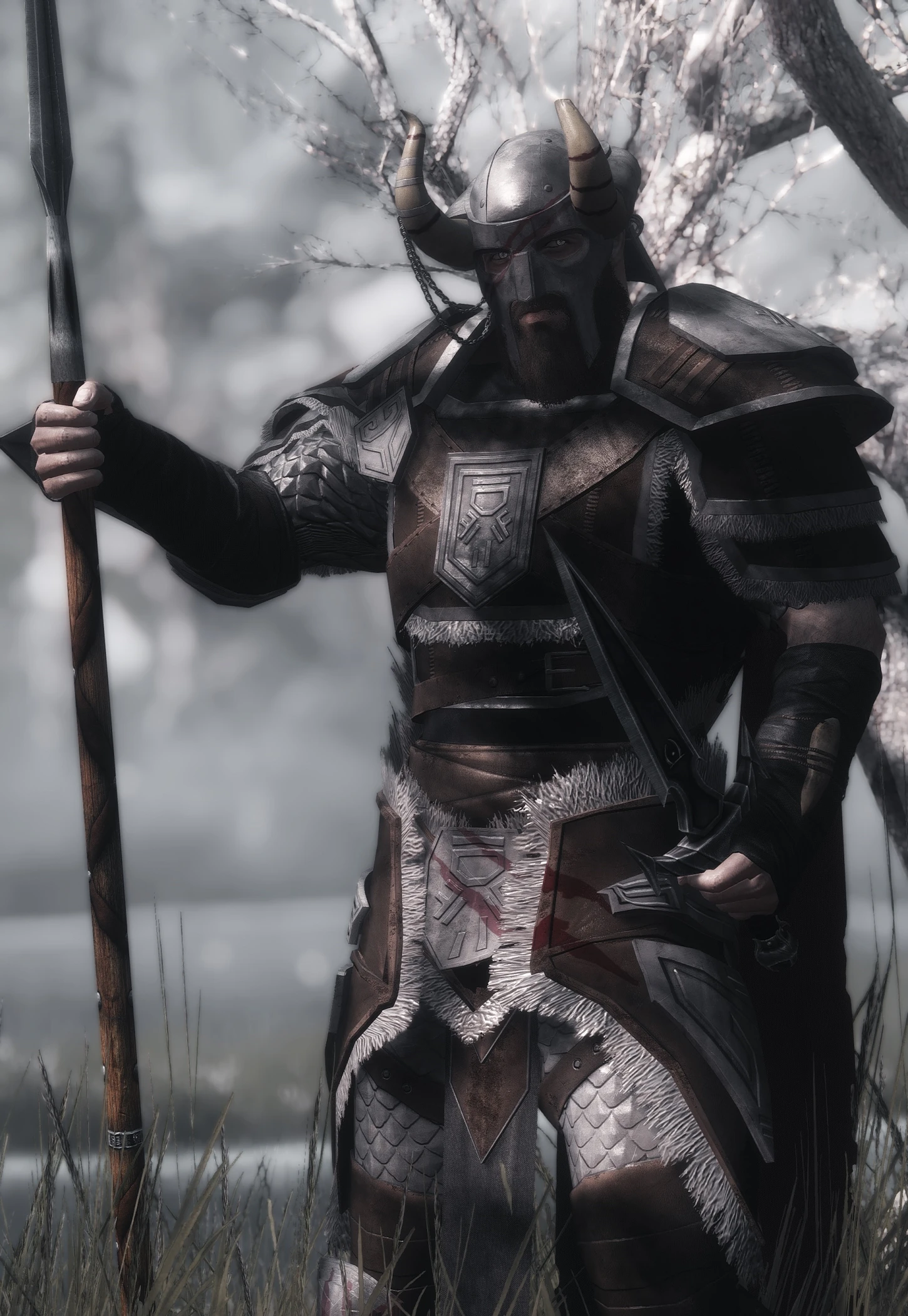 nordic warriors
