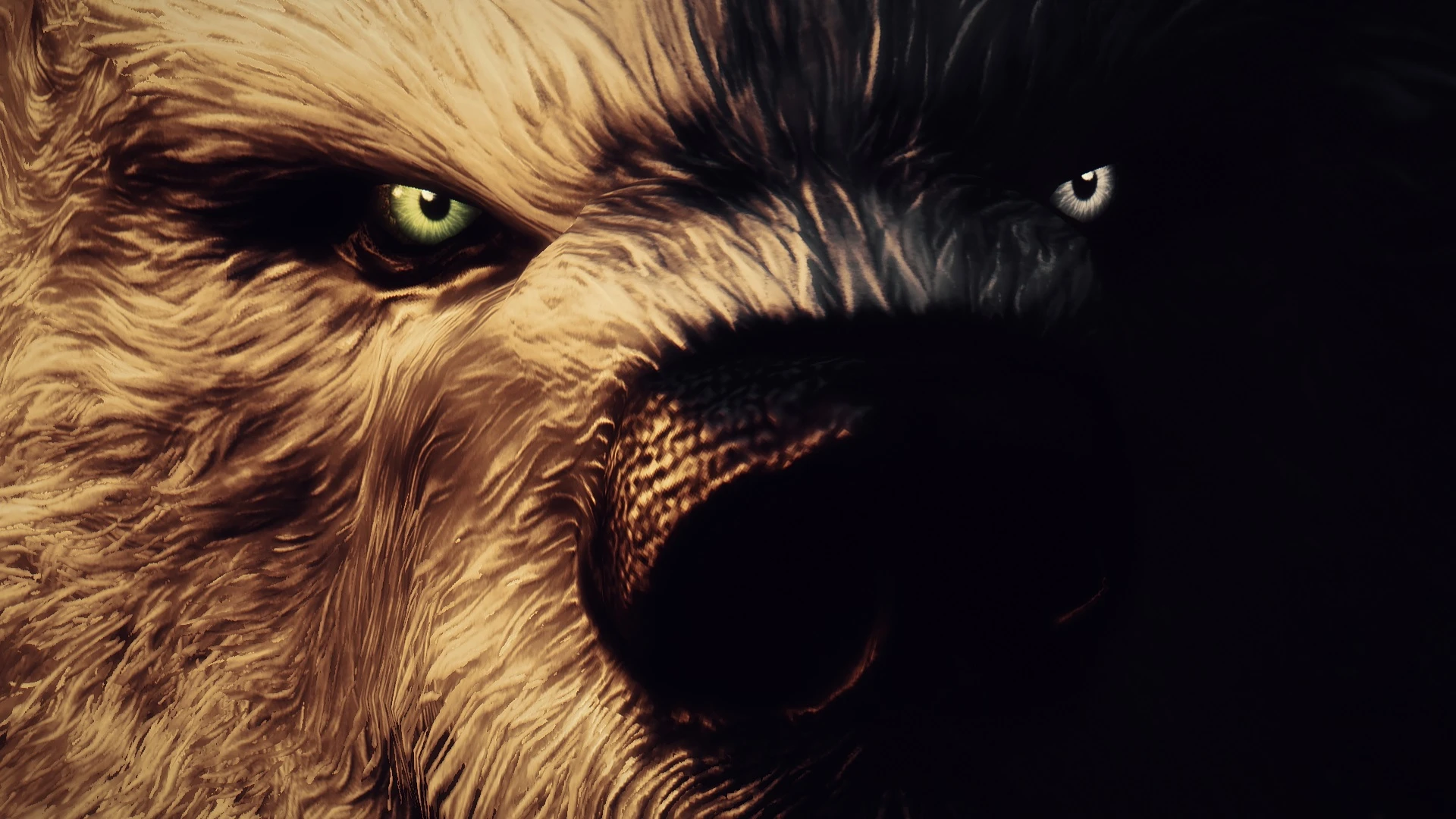 The Pale Werebear at Skyrim Nexus - Mods and Community