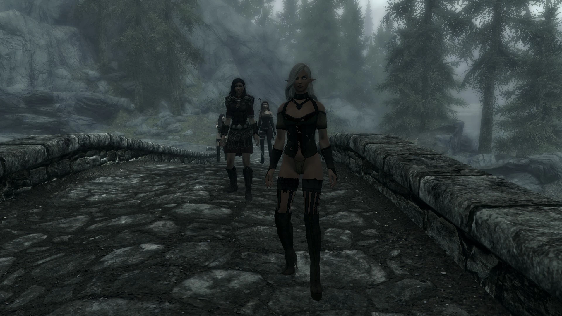 Companions At Skyrim Nexus Mods And Community   14480204 1437389433 