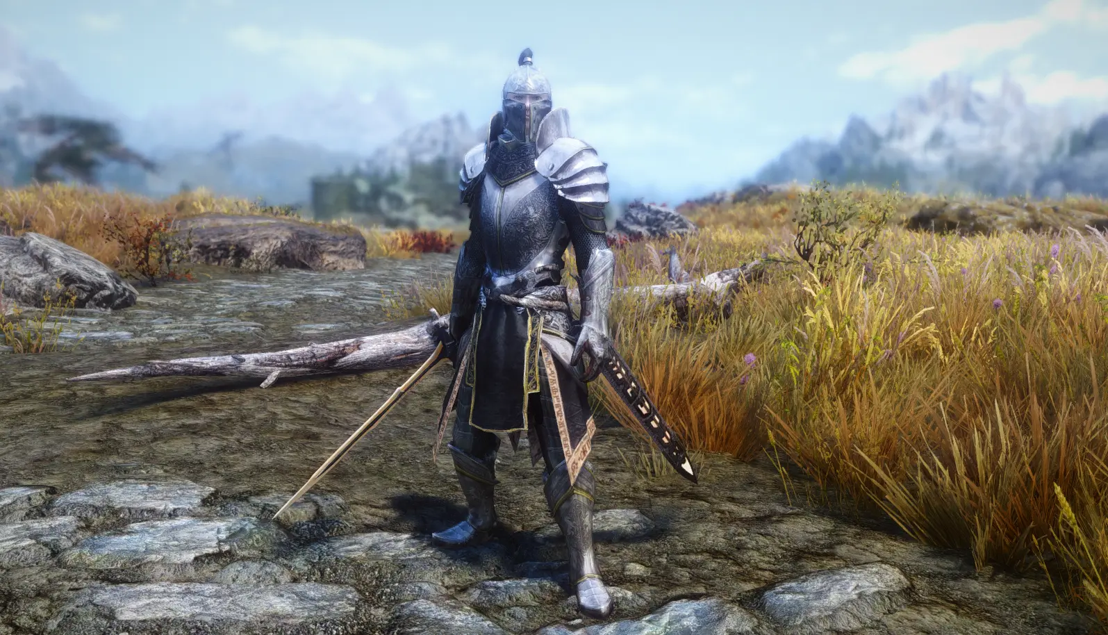 Steel Plate Armor At Skyrim Nexus Mods And Community