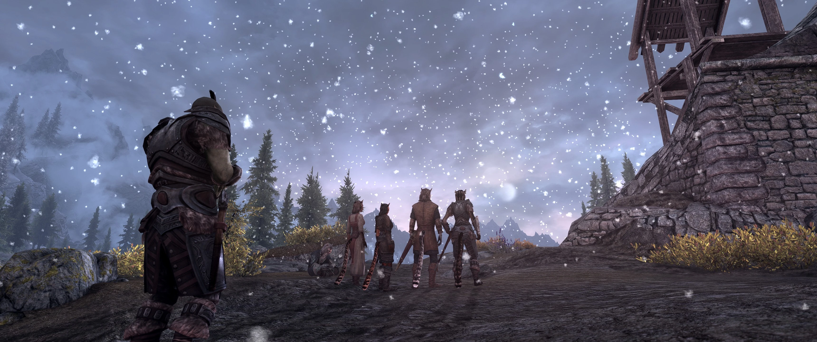 Khajiit In The Snow at Skyrim Nexus - Mods and Community