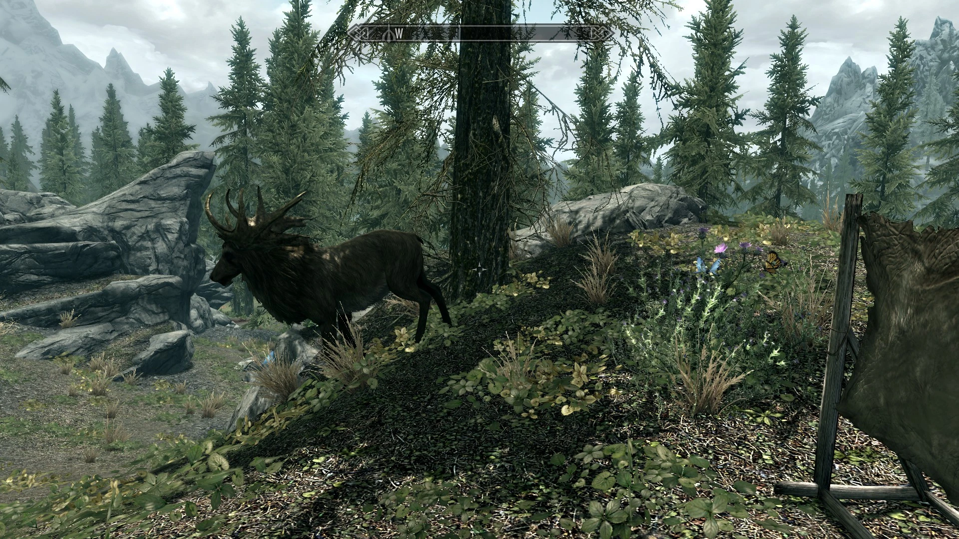 Close up of elk not afraid at Skyrim Nexus - Mods and Community