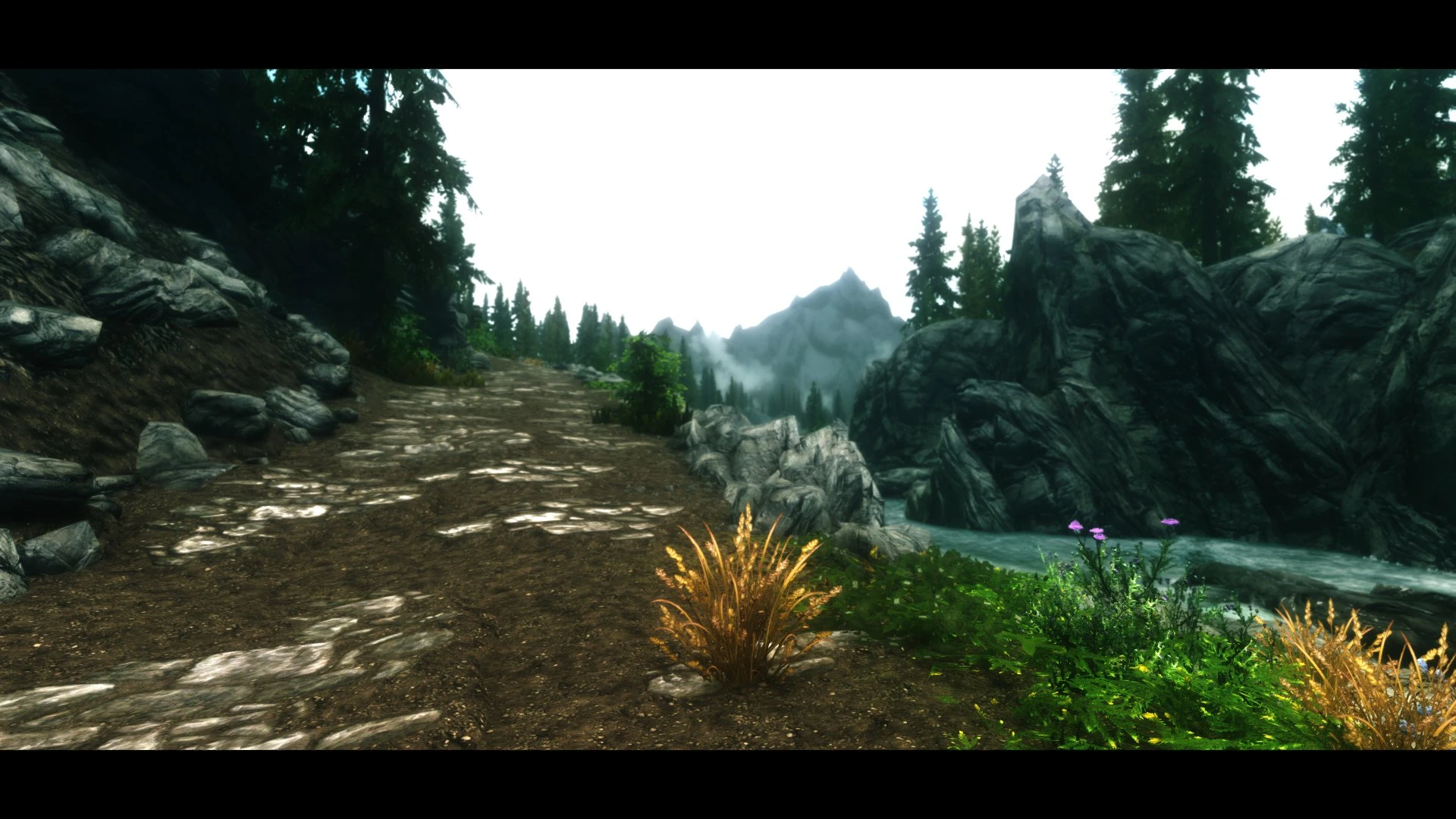 is skyrim directx 11