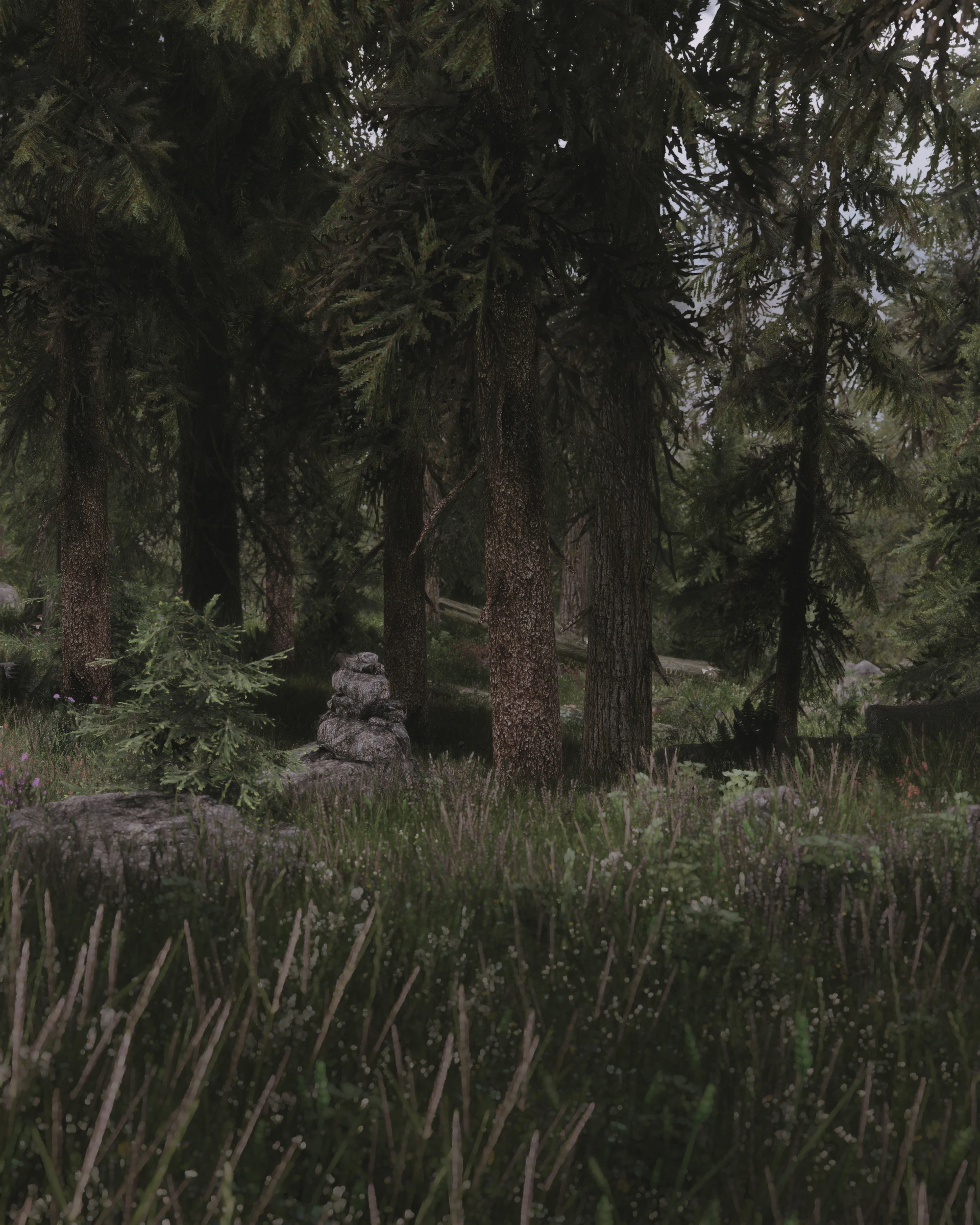 Falkreath Forest  at Skyrim Nexus  Mods and Community