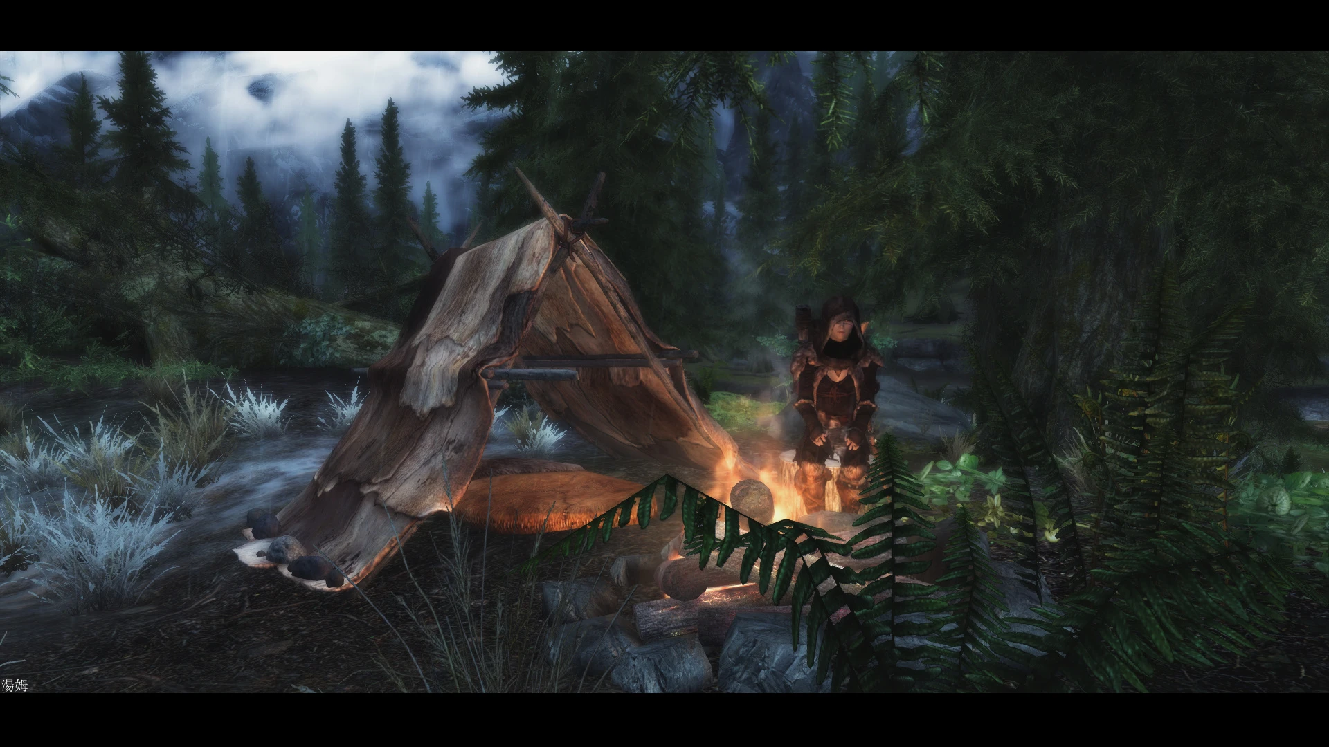 skyrim special edition camping