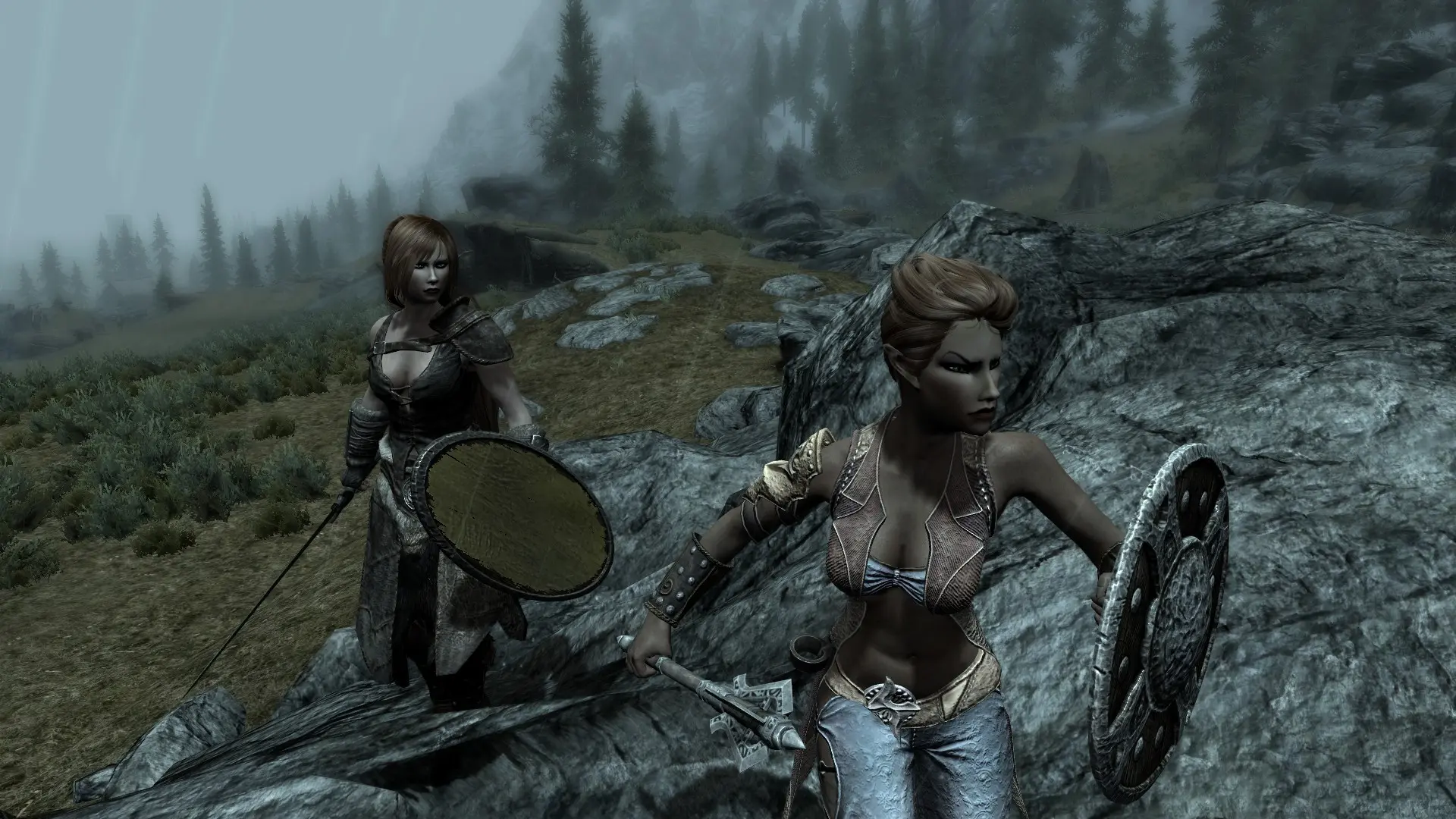 Linnea and Liviane from Immersive Wenches by lordkoz at Skyrim Nexus - Mods  and Community